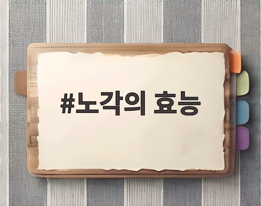 노각의 효능 노각의 효능