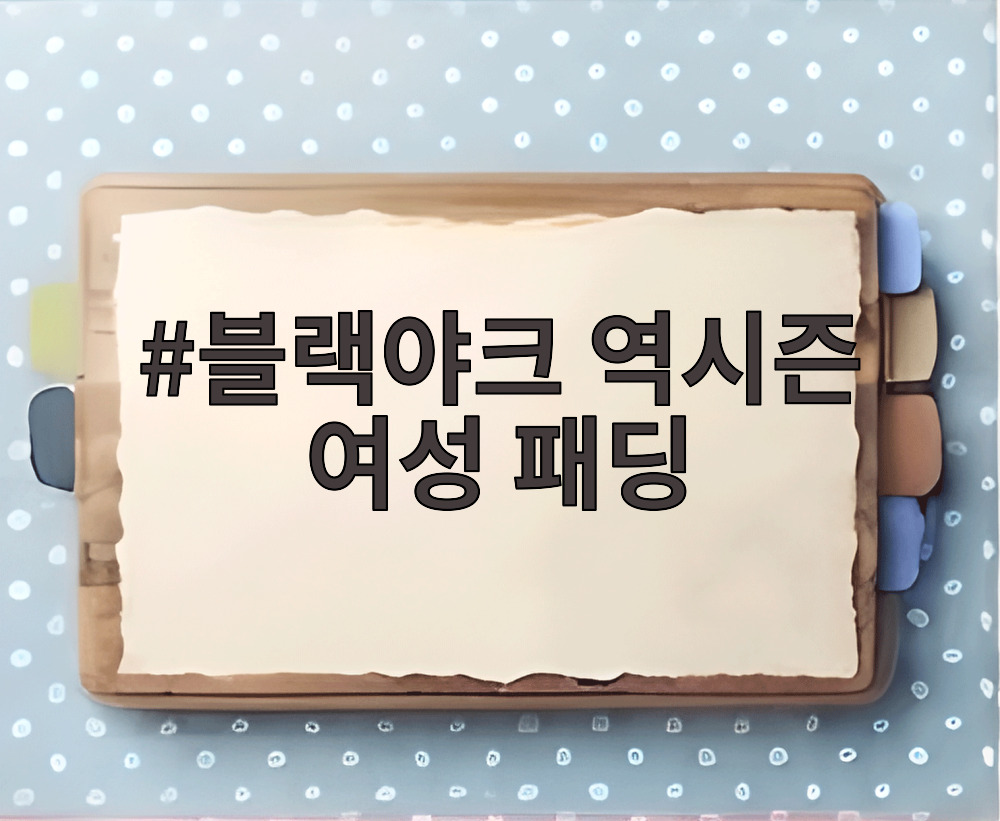 블랙야크 역시즌 여성 패딩