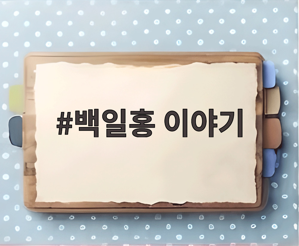 백일홍 이야기