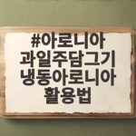 아로니아 과일주 담그기 냉동 활용법 아로니아 과일주담그기 냉동아로니아 활용법