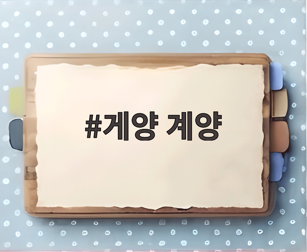 게양 계양