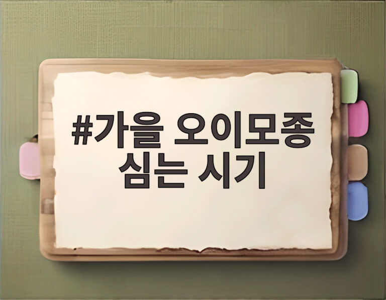 가을 오이모종 심는 시기
