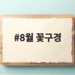 8월 꽃구경