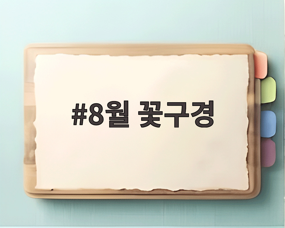 8월 꽃구경