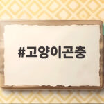 고양이 곤충 본능과 사료 선택법 고양이곤충