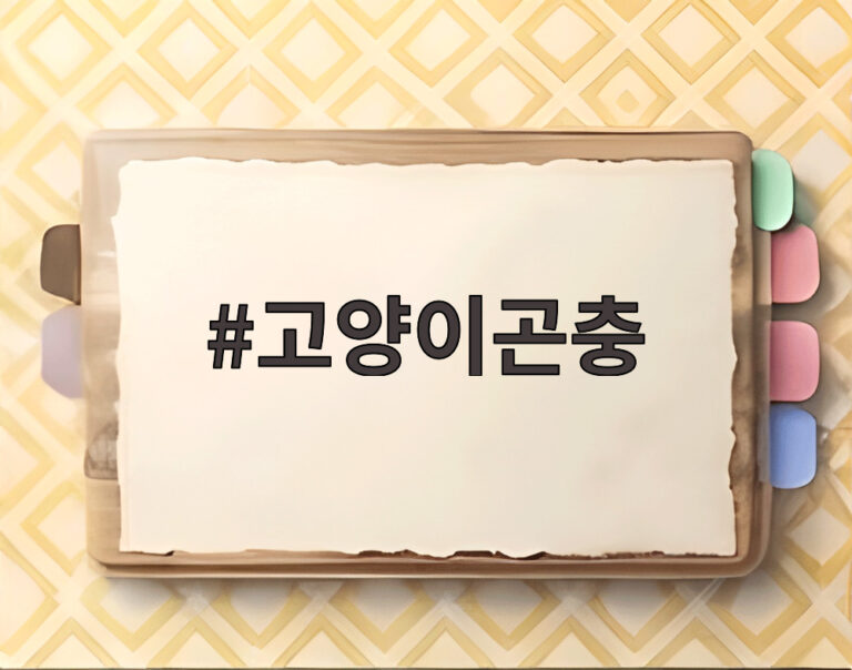 고양이곤충
