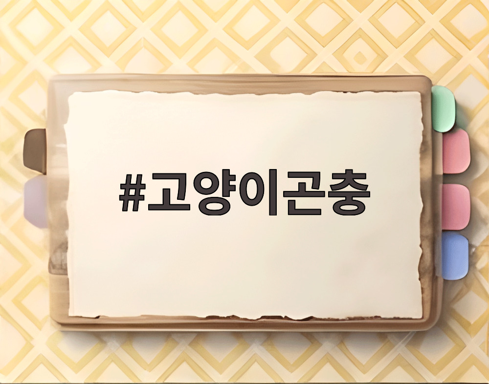 고양이곤충