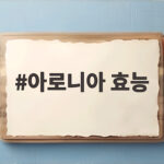 아로니아 효능 제대로 알고 먹는 법 아로니아 효능