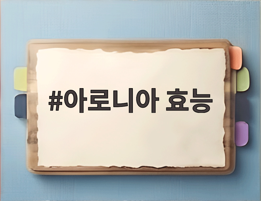 아로니아 효능