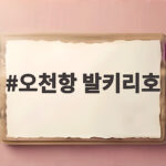 오천항 발키리호 배낚시 준비와 조과 후기 오천항 발키리호