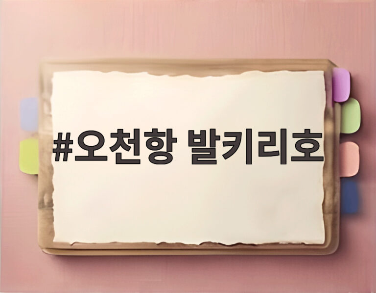 오천항 발키리호
