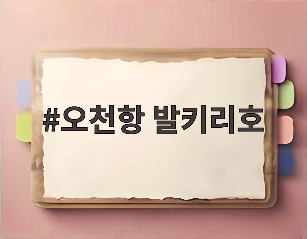 오천항 발키리호