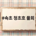 속초 청초호 물회 즐기는 완벽한 하루 속초 청초호 물회