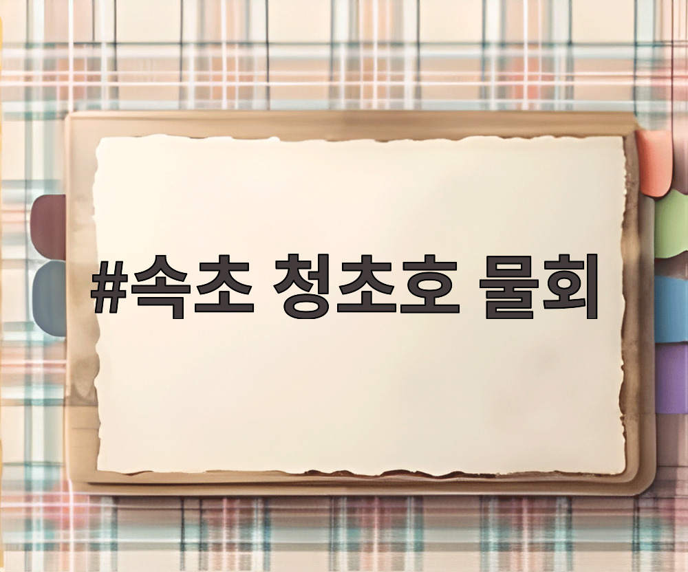 속초 청초호 물회