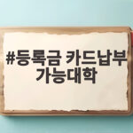 등록금 카드납부 가능대학 총정리 등록금 카드납부 가능대학