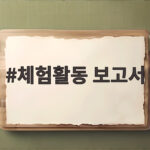 체험활동 보고서