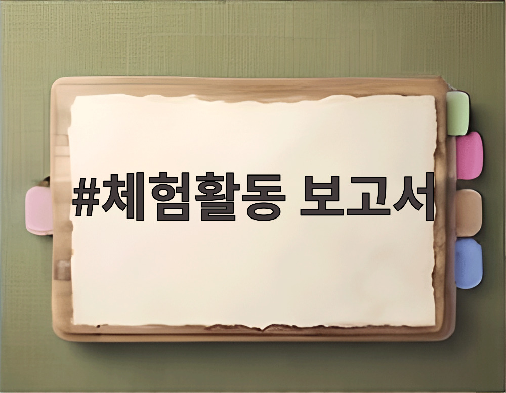 체험활동 보고서
