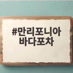 만리포니아 바다포차