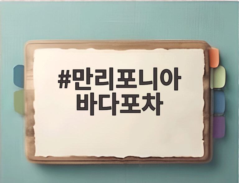 만리포니아 바다포차
