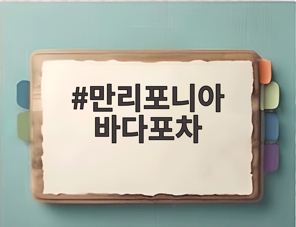 만리포니아 바다포차