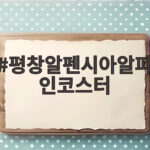 평창알펜시아알파인코스터 타기 전 확인 평창알펜시아알파인코스터