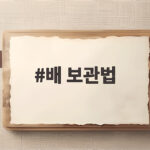 배 보관법 오래 아삭하게 하는 핵심 포인트 배 보관법