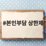 본인부담 상한제