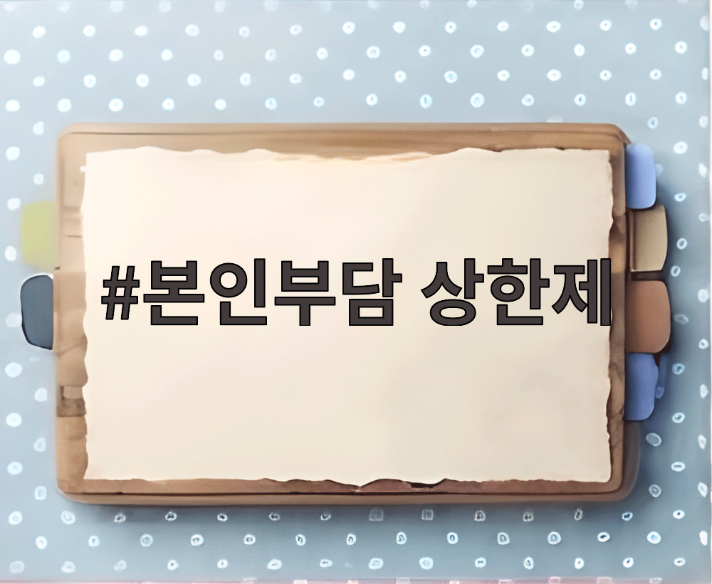 본인부담 상한제