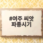 여주 씨앗 파종시기와 재배 방법 총정리 여주 씨앗 파종시기