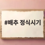 배추 정식시기 이것만 알면 성공 배추 정식시기