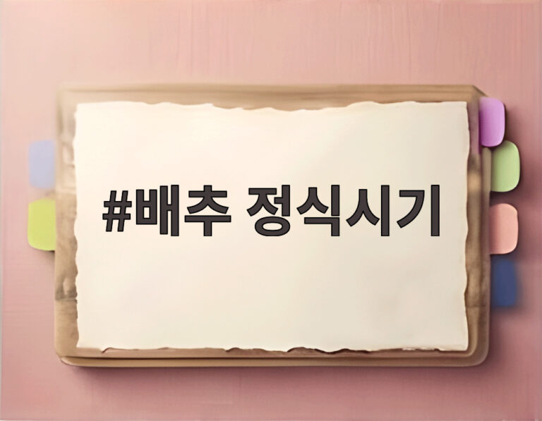배추 정식시기