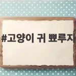 고양이 귀 뾰루지