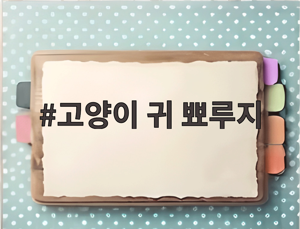고양이 귀 뾰루지