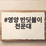 영양 반딧불이천문대 가을밤 별보기 축제 정보 영양 반딧불이 천문대