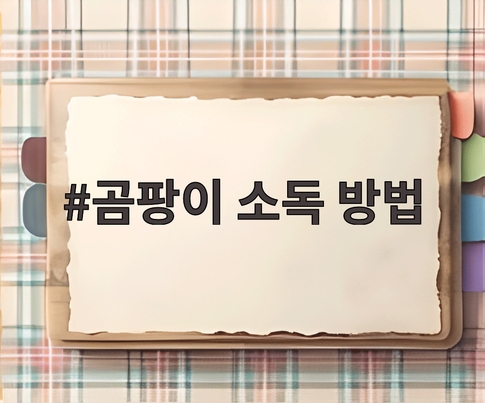 곰팡이 소독 방법