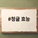 청귤 효능