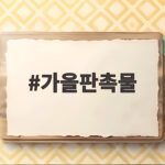 가을판촉물 준비 시기와 추천 아이템 가을판촉물