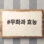 무화과 효능, 제대로 알고 드세요 무화과 효능