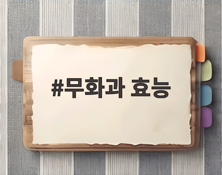 무화과 효능