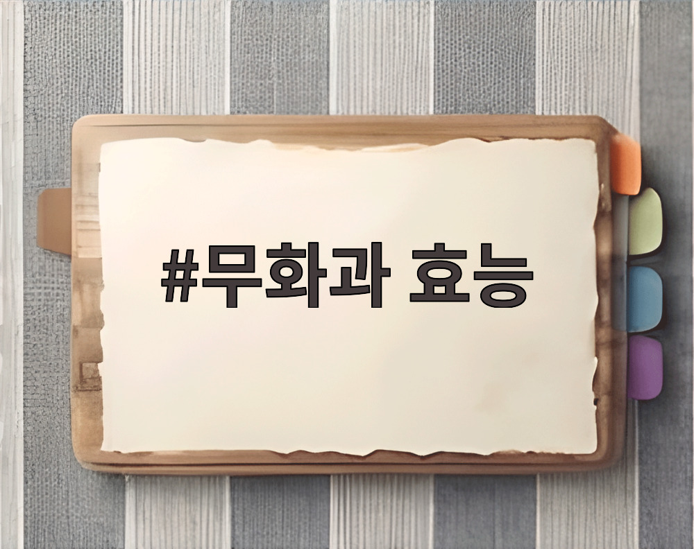 무화과 효능