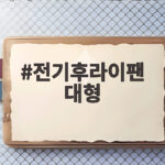 대형 전기후라이팬 명절 잔치팬 고르는 팁 전기후라이팬 대형