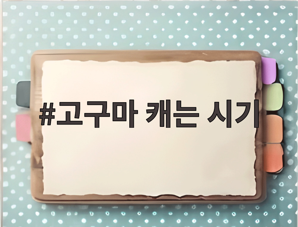 고구마 캐는 시기