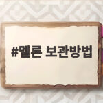 멜론 보관방법 후숙과 냉장 보관 총정리 멜론 보관방법
