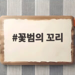 꽃범의꼬리 키우기 꽃말과 개화시기 총정리 꽃범의 꼬리