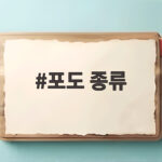 포도 종류별 특징과 제철 시기 총정리 포도 종류