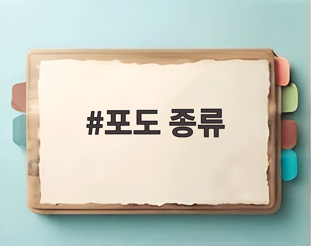 포도 종류
