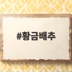 황금배추 모종 심는 시기와 고르는 팁 황금배추