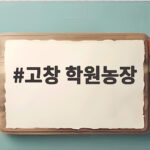 고창 학원농장 늦여름 해바라기 명소 방문기 고창 학원농장