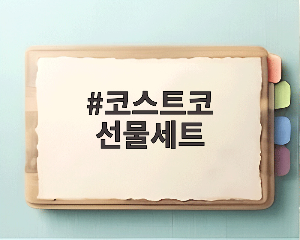 코스트코 선물세트