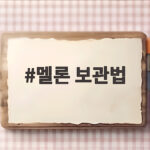 멜론 보관법 후숙부터 손질까지 멜론 보관법